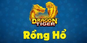 Game Rồng Hổ được đông đảo bet thủ chọn lựa